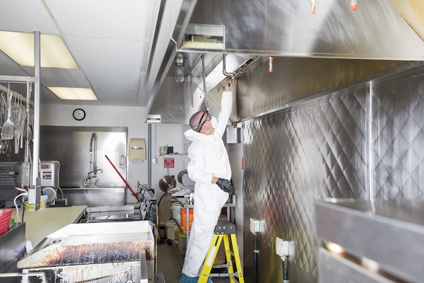 Pest exterminator carrying out commercial pest control in a kitchen