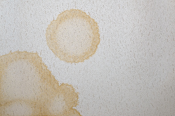 Possum urine stain on ceiling