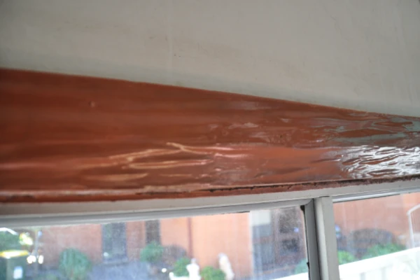 Rippled paintwork termite damage